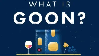 【大料花椒字幕组】Goon是什么？