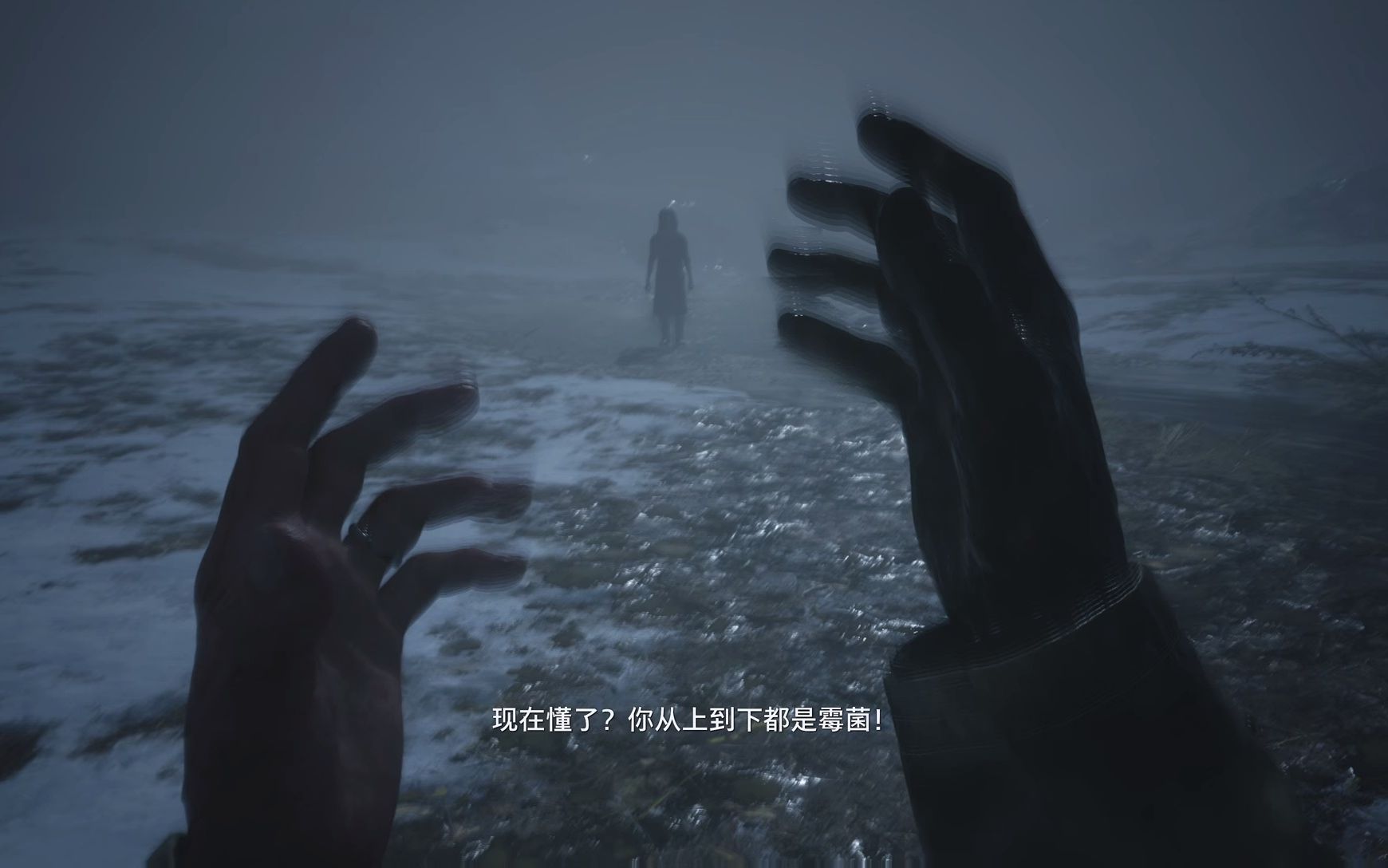 生化危机村庄伊森温特斯的真相2