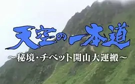 [图]【纪录片】登天之路: 西藏开山大运输(2010)高清中字