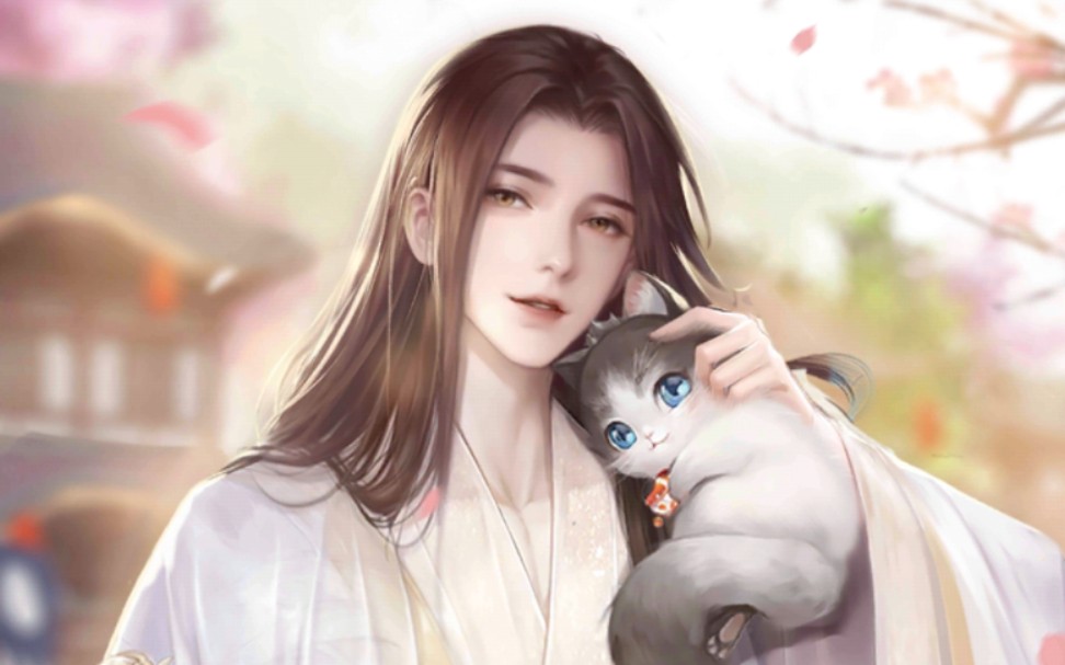 【灵猫传】安歌部分花笺剧情合集