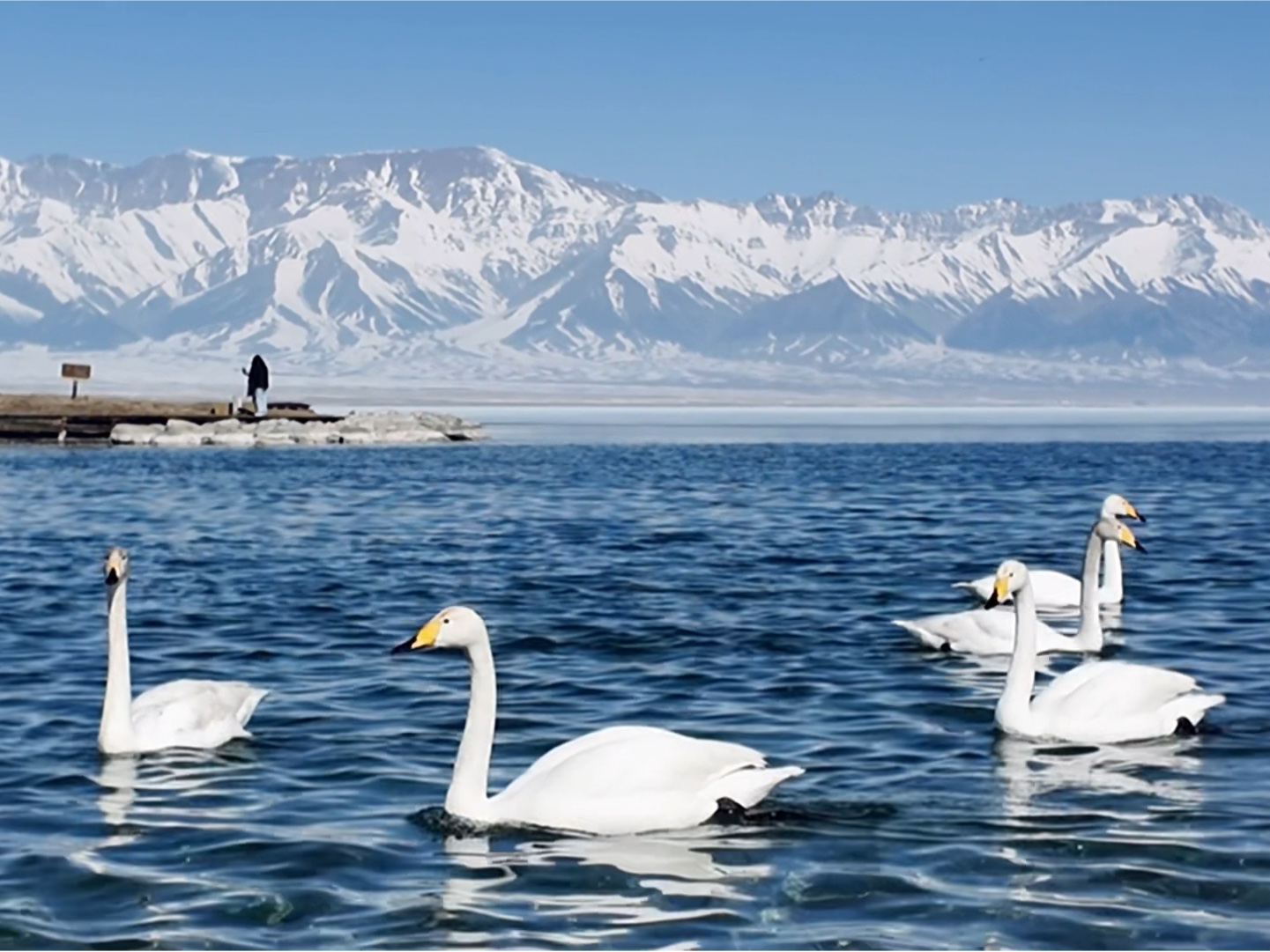 赛里木湖|在宽阔的世界,做一个不狭隘的人