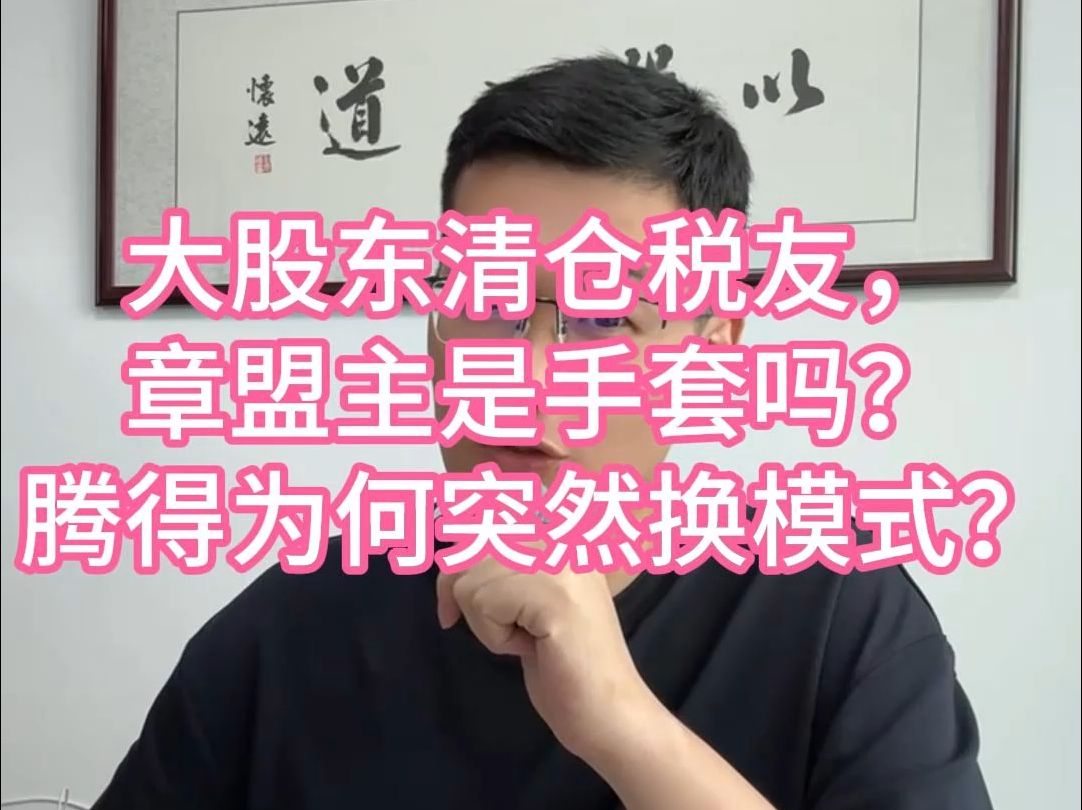 大股东清仓税友,章盟主是手套吗?腾得为何突然换模式?哔哩哔哩bilibili