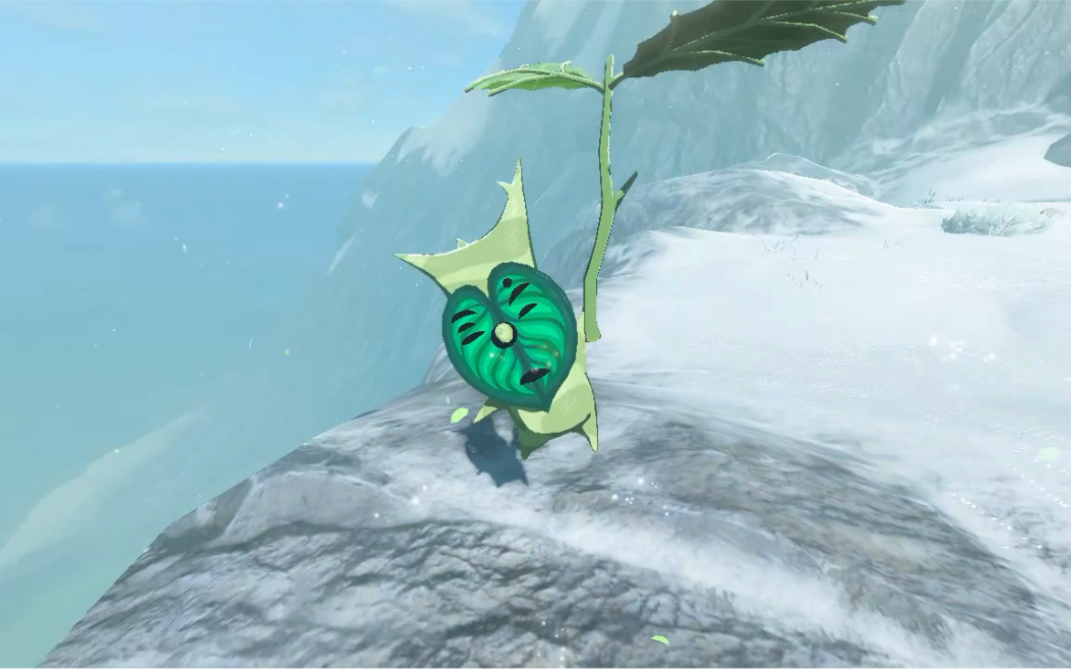 塞尔达拉聂尔山呀哈哈克洛格盾滑路线