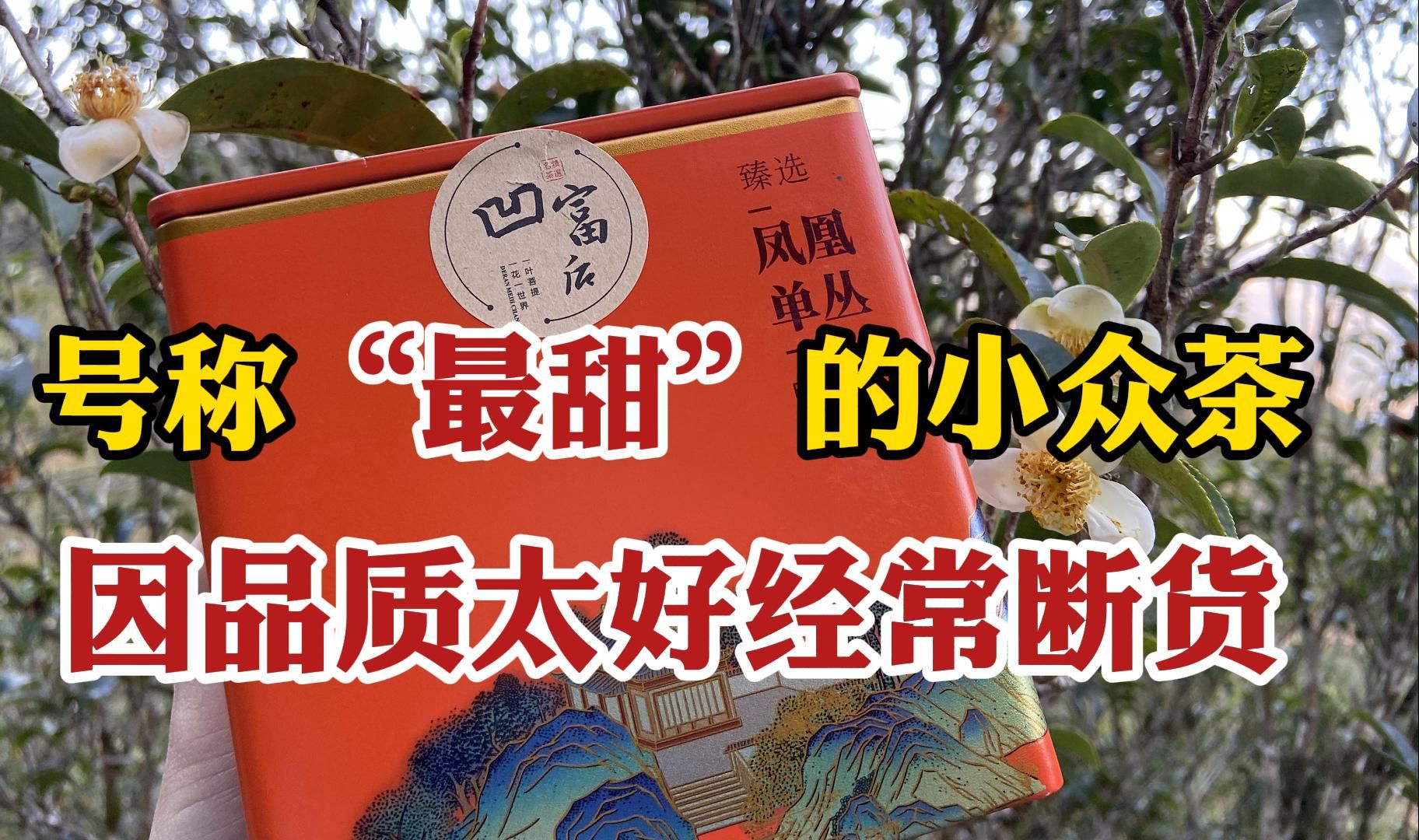 号称“最甜”的小众茶,在国内鲜为人知,却因品质太好经常断货哔哩哔哩bilibili