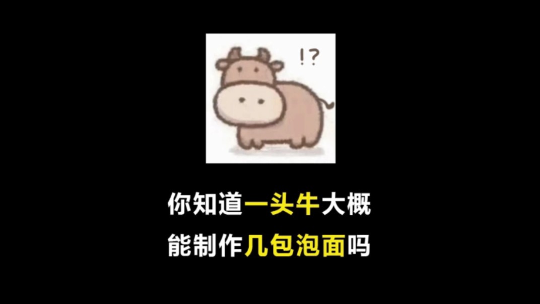 一头牛大概能制作几包泡面?哔哩哔哩bilibili