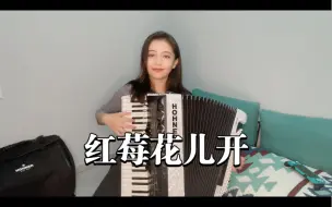 Download Video: 【手风琴】红莓花儿开