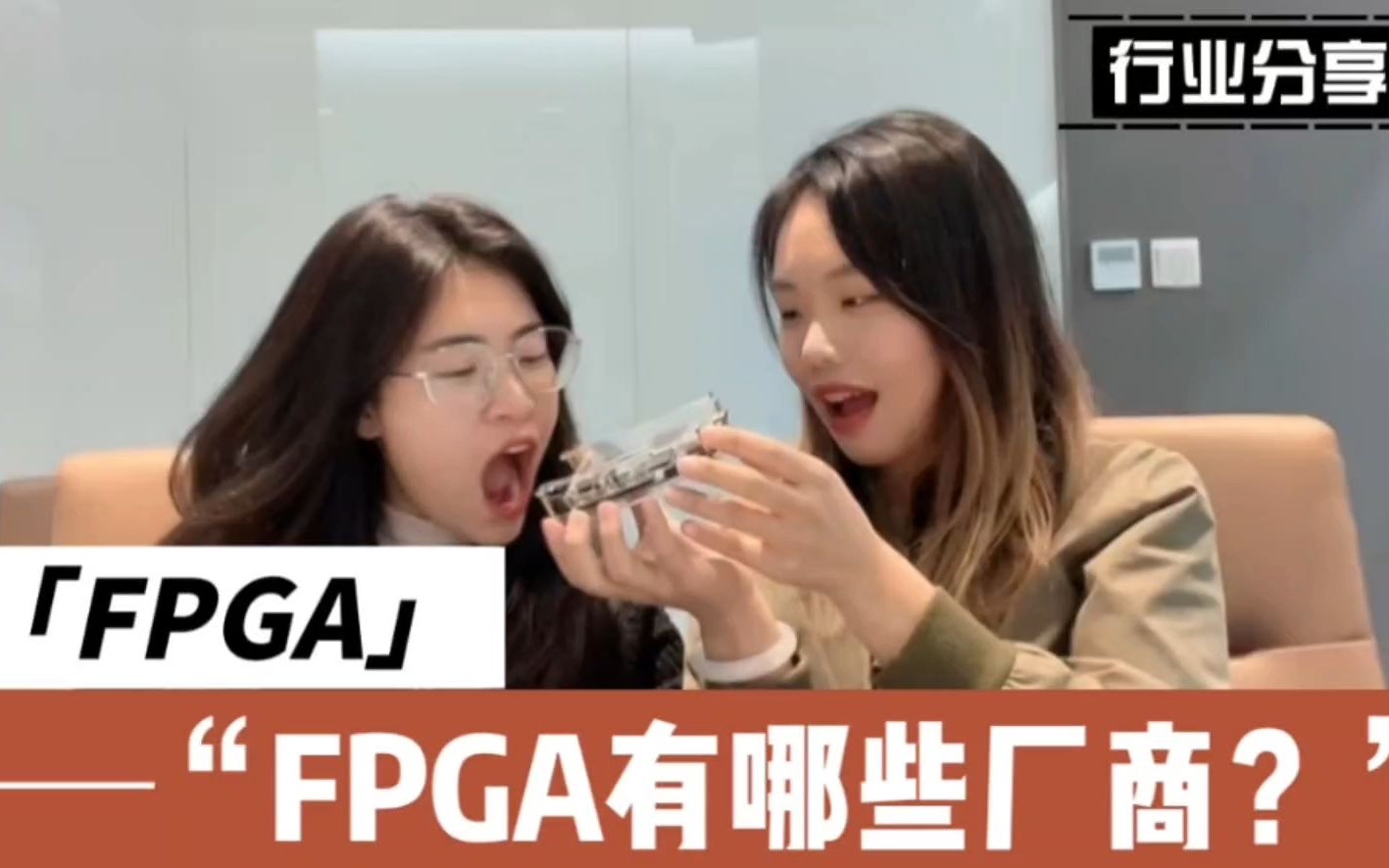 FPGA的厂商有哪些?哔哩哔哩bilibili