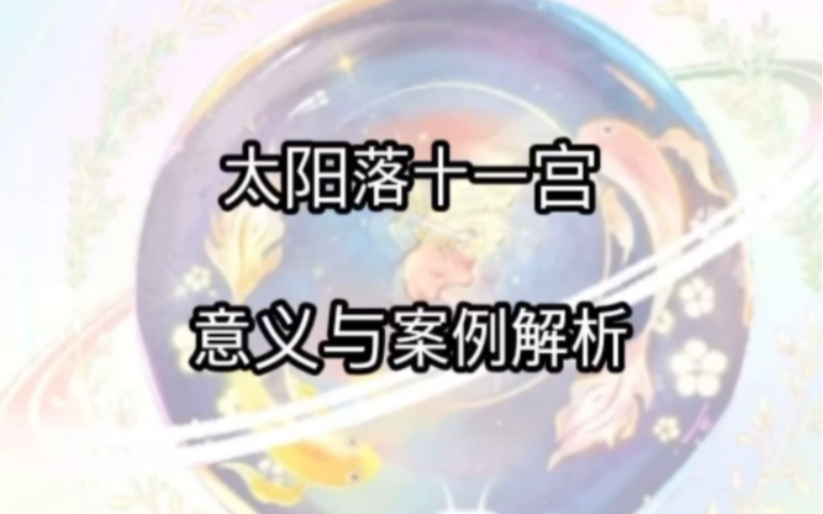 星盘解析|太阳落十一宫哔哩哔哩bilibili