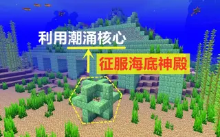 海底神殿 搜索结果 哔哩哔哩 Bilibili