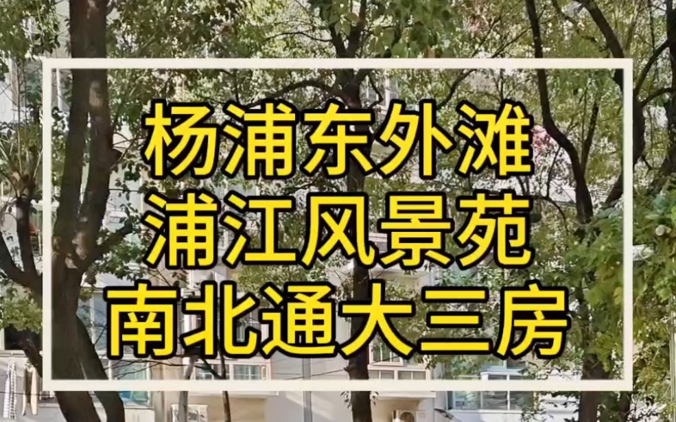 杨浦东外滩浦江风景苑,南北通大三房,小高层,一梯俩户,中间楼层,你