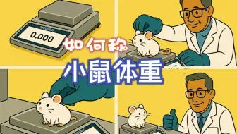 【天平的花样称量（三）】如何给小鼠称体重？