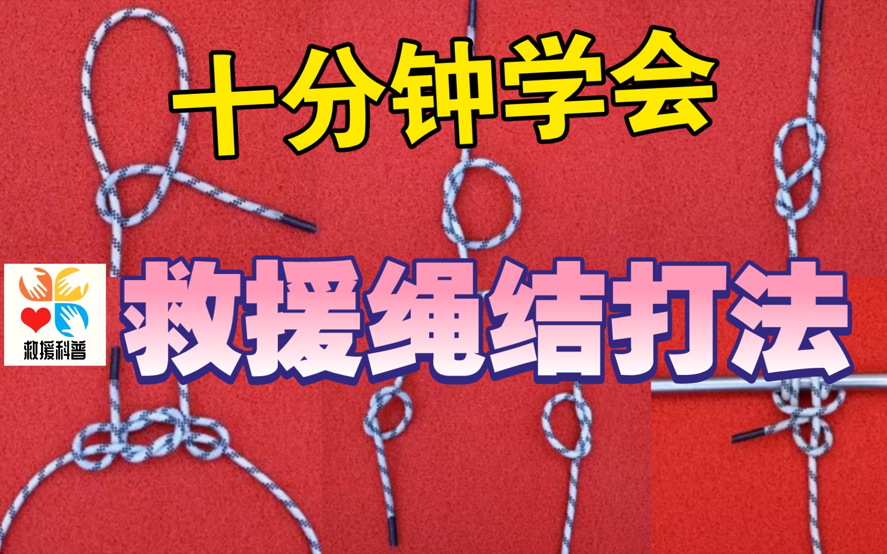 消防24個救援繩結打法動作要領.:半結,單結,止結,8字結,單活釦連結