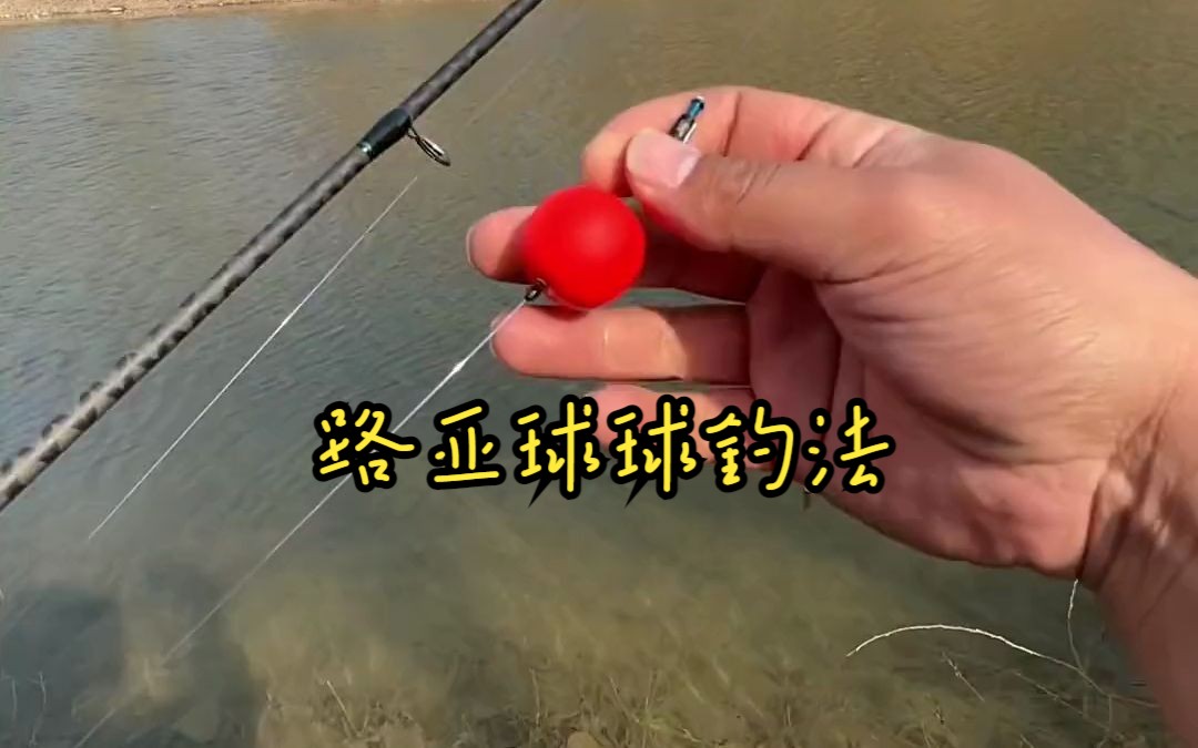 洛阳球球钓法,路亚球球钓法!