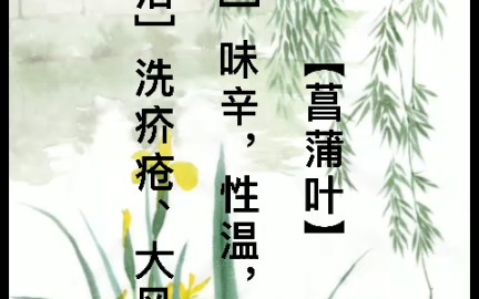 《神农本草经》哔哩哔哩bilibili