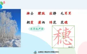 下载视频: 2022年3月29日小学语文四年级《白桦》第二课时