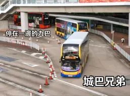 Download Video: 【西區海底隧道】內地人，不懂為什麼城巴和九巴在西隧要在不同的站臺停車