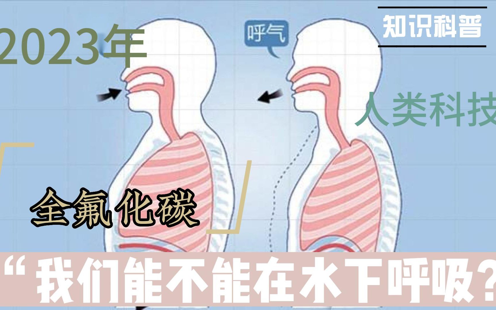 水下呼吸之全氟化碳哔哩哔哩bilibili