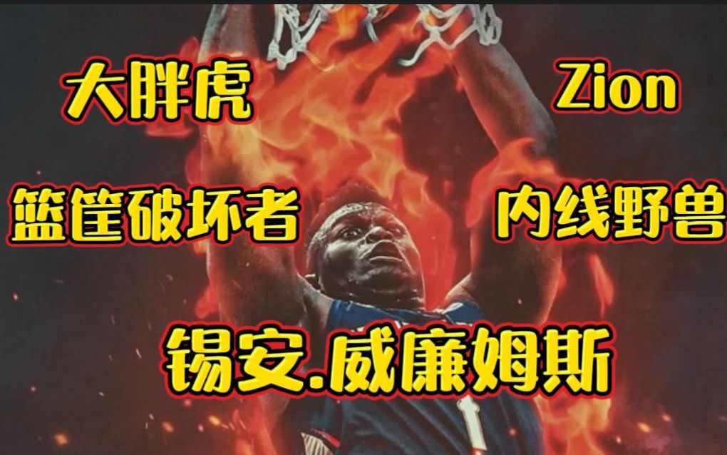 《NBA2K系列》【锡安.威廉姆斯】00后大胖虎 暴力虐框表演哔哩哔哩bilibili