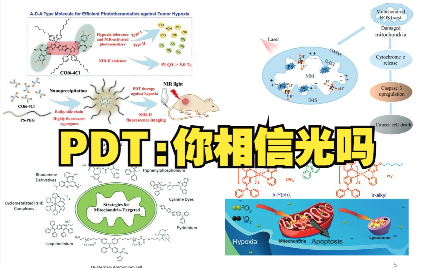 【以点带面】光动力治疗的原理及研究前沿介绍哔哩哔哩bilibili