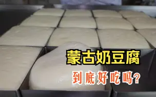 Download Video: 蒙古牧民从小吃到大的“奶豆腐”，12斤牛奶才做1斤，做法原来是这样，到底好吃吗？