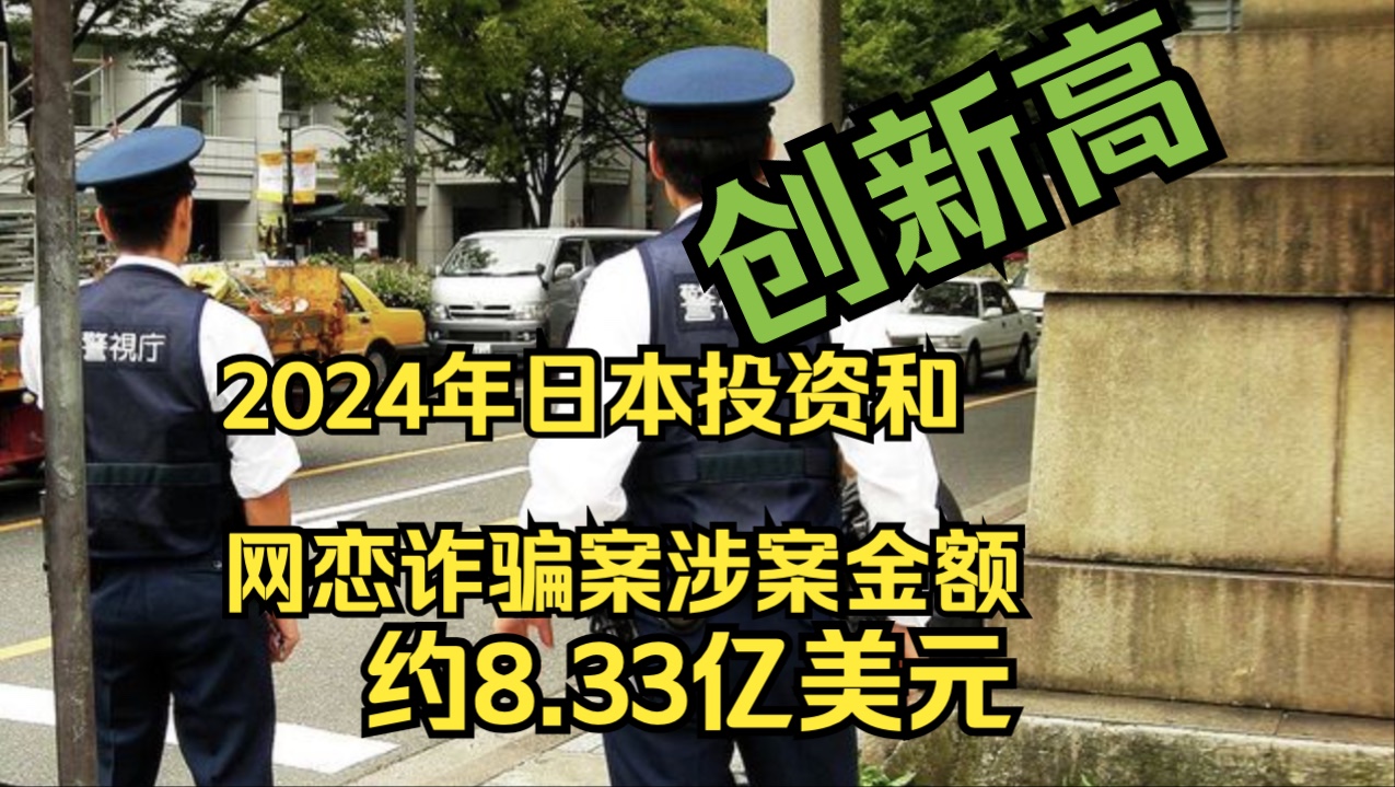 2024年日本投资和网恋诈骗案涉案金额约8.33亿美元哔哩哔哩bilibili