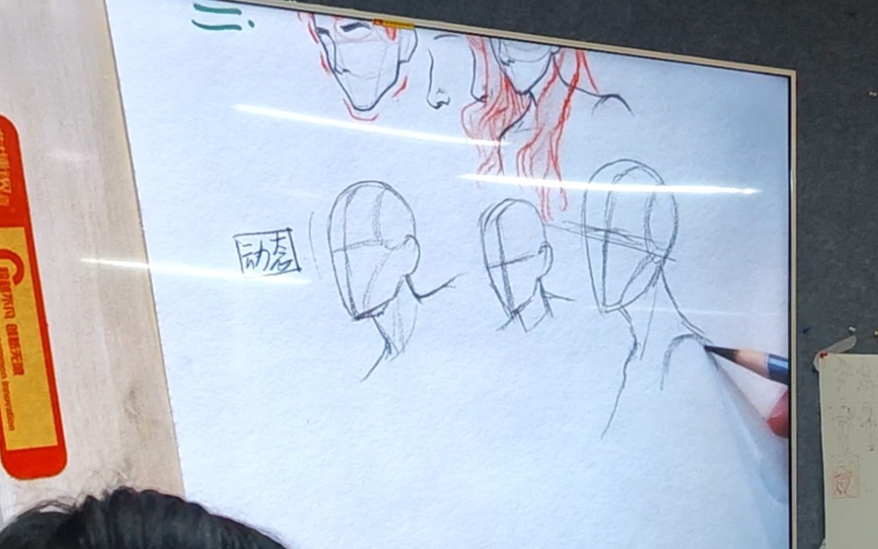 速写头颈肩活动规律讲解!