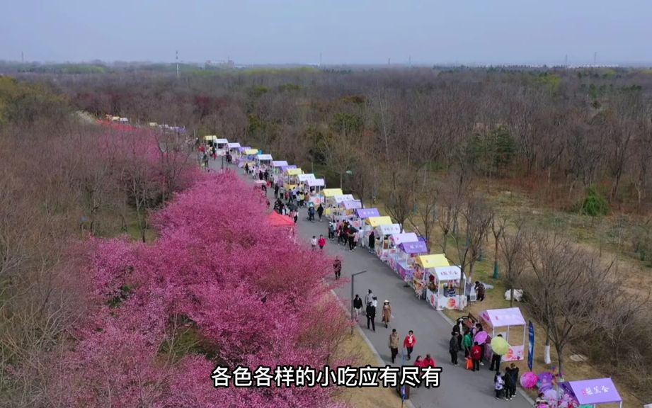 不想在江南人挤人,就来宿迁赏花吧!本以为江苏宿迁只有京东和项羽,来了宿迁之后,我才发现,春天的宿迁真的太美了哔哩哔哩bilibili