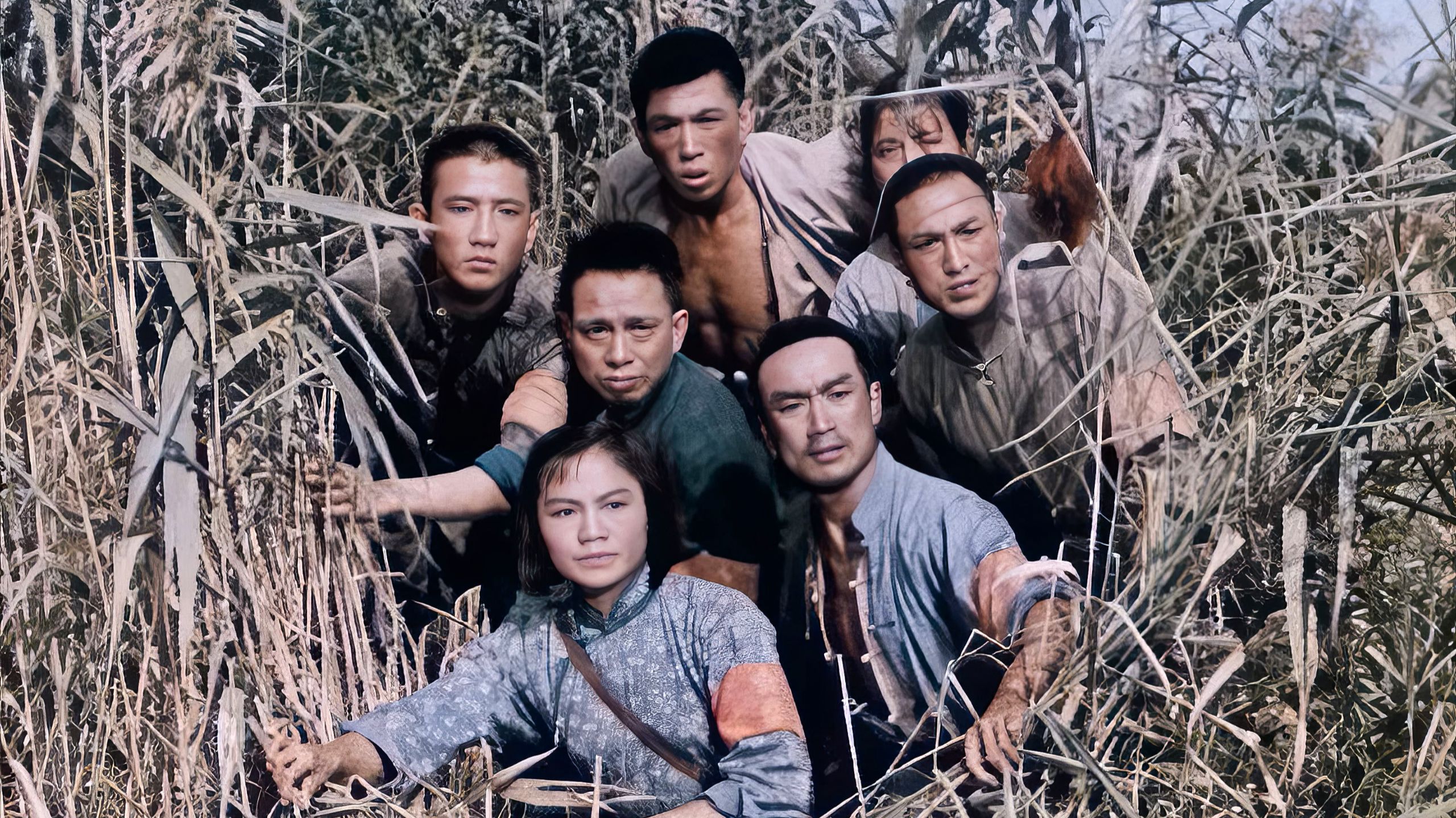 《洪湖赤卫队》1961全剧修复（终）