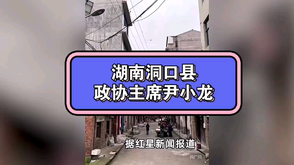 湖南洞口县官方回应“政协主席涉刑案”:在长沙被警方控制哔哩哔哩bilibili