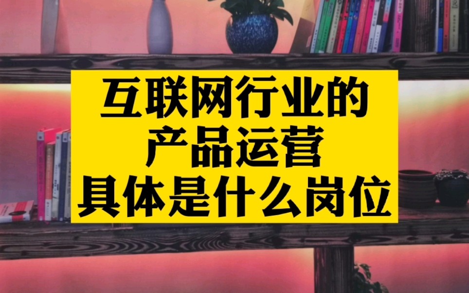 北上广深一线城市互联网公司里的产品运营岗位是做什么的?看了这个视频就明白了哔哩哔哩bilibili