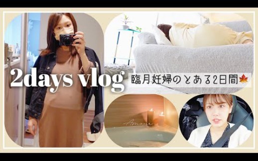 [图]日本主妇紫帆211102【とある2日間】臨月妊婦の何でもない日常vlog…