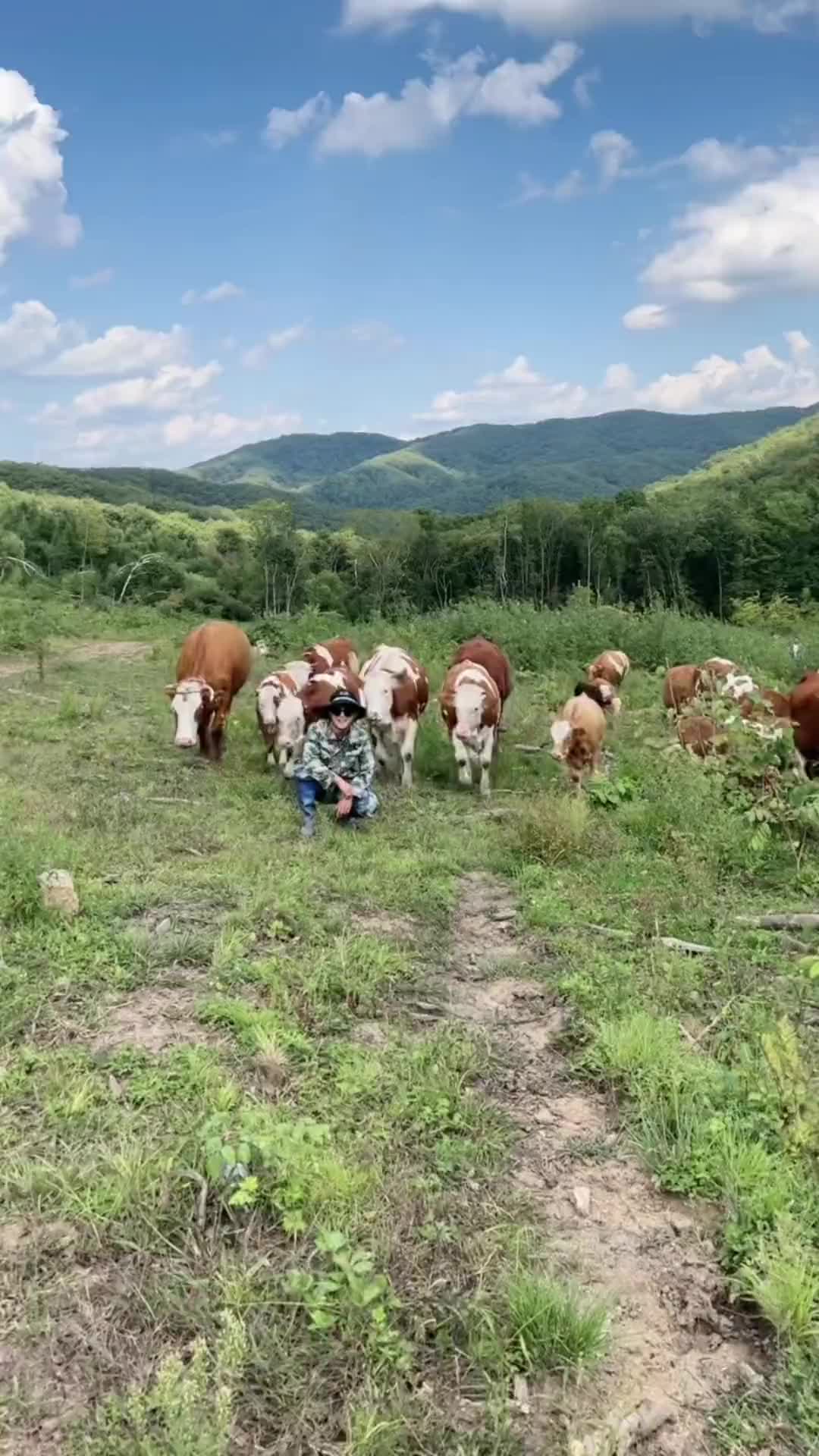 放牛也是一件很酷的事情放牛娃东北农村生活记录家乡美景