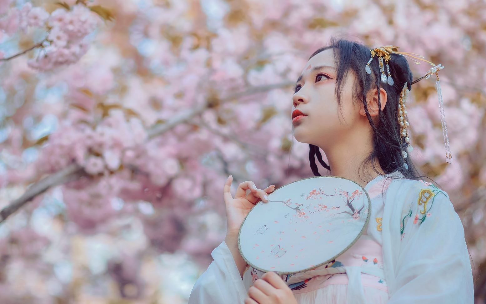 活动  【本少少女心】小姐姐的汉服日常,樱花树下等你来伴