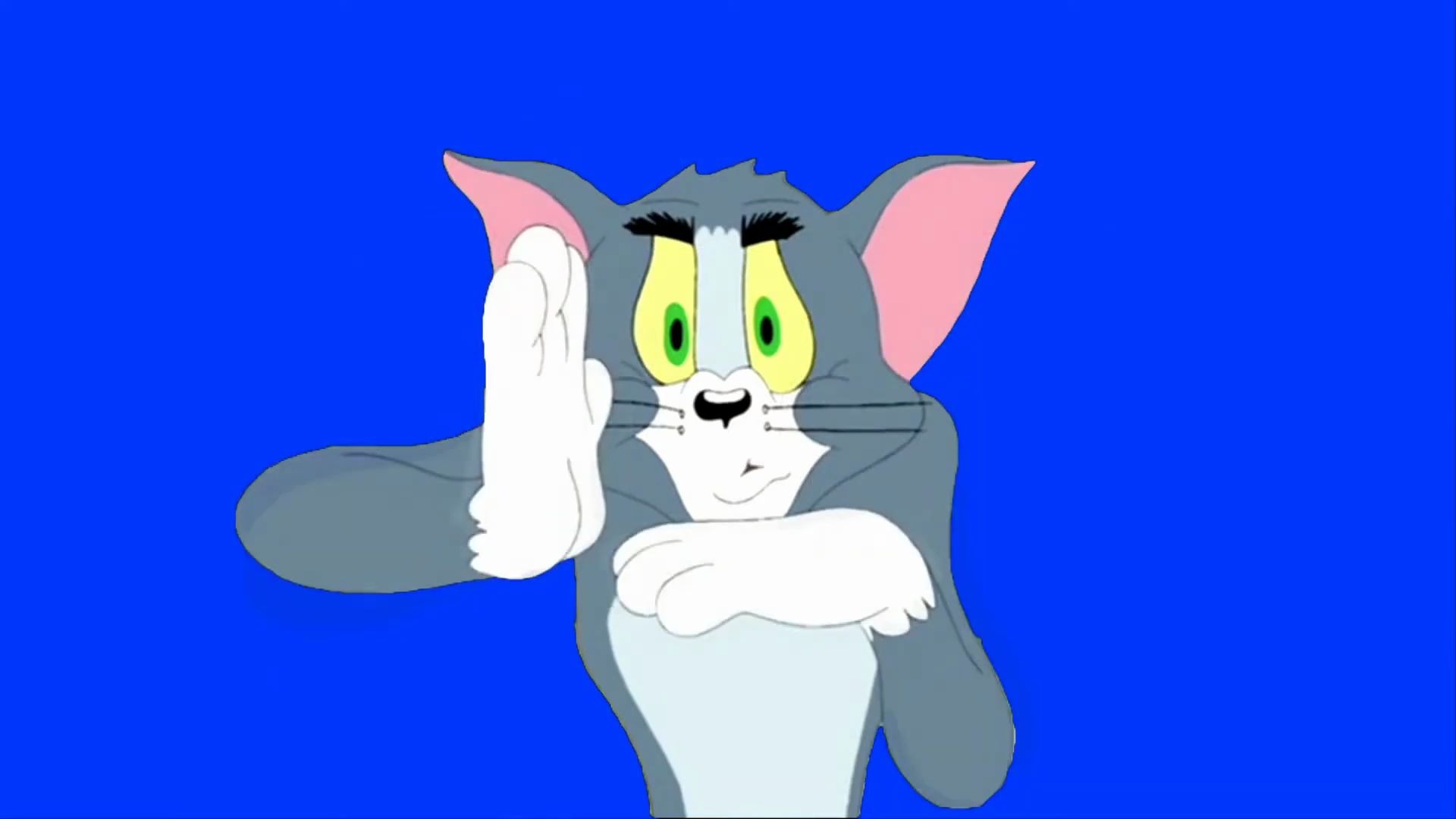 绿幕视频素材汤姆猫