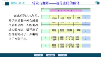 20200402-真核、原核细胞的表达及基因对性状的控制