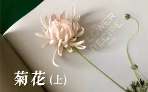 花花 树脂粘土花教程 菊花 下 哔哩哔哩 つロ干杯 Bilibili