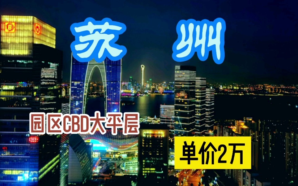 [图]苏州园区湖西CBD单价2万的大平层，夜景非常震撼！