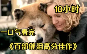 Download Video: 【10小时】一口气看完4K《百部催泪高分佳作》这应该就是电影存在的意义，它会教你如何去爱！