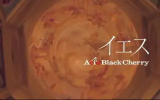 Acid Black Cherry 搜索结果 哔哩哔哩 Bilibili