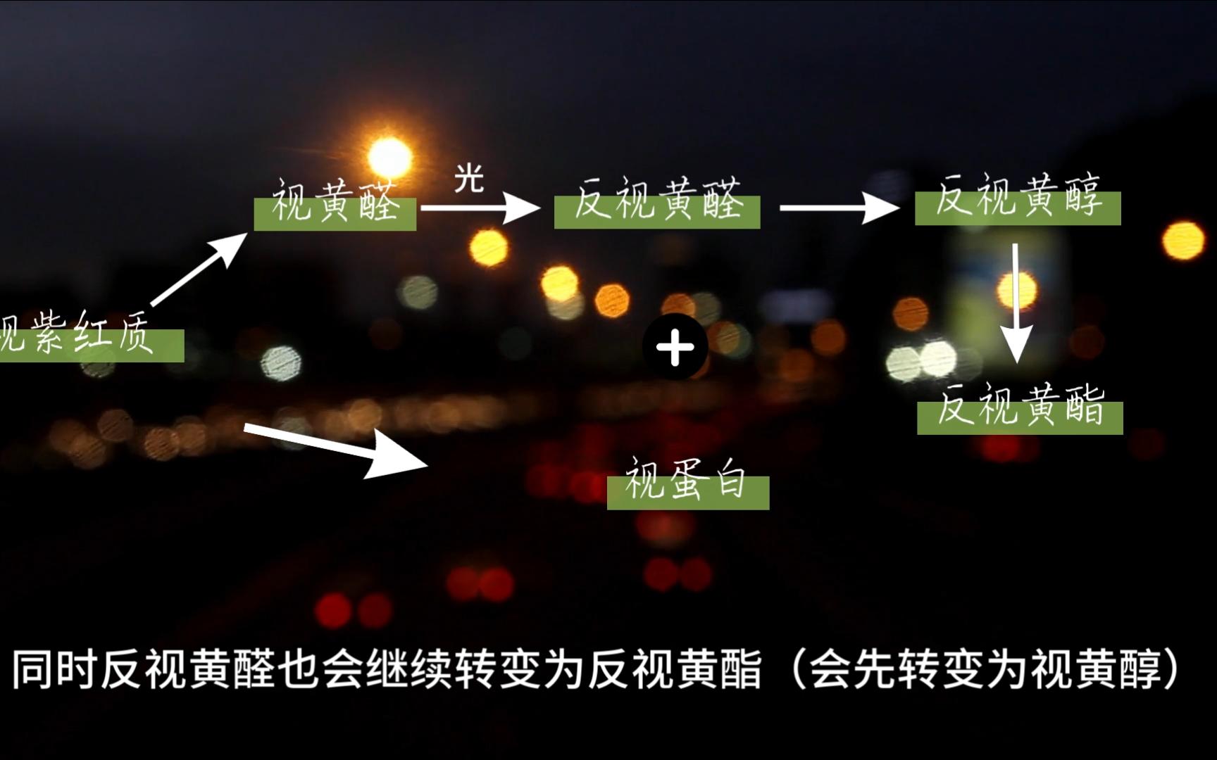 维生素a和夜盲症是什么关系?