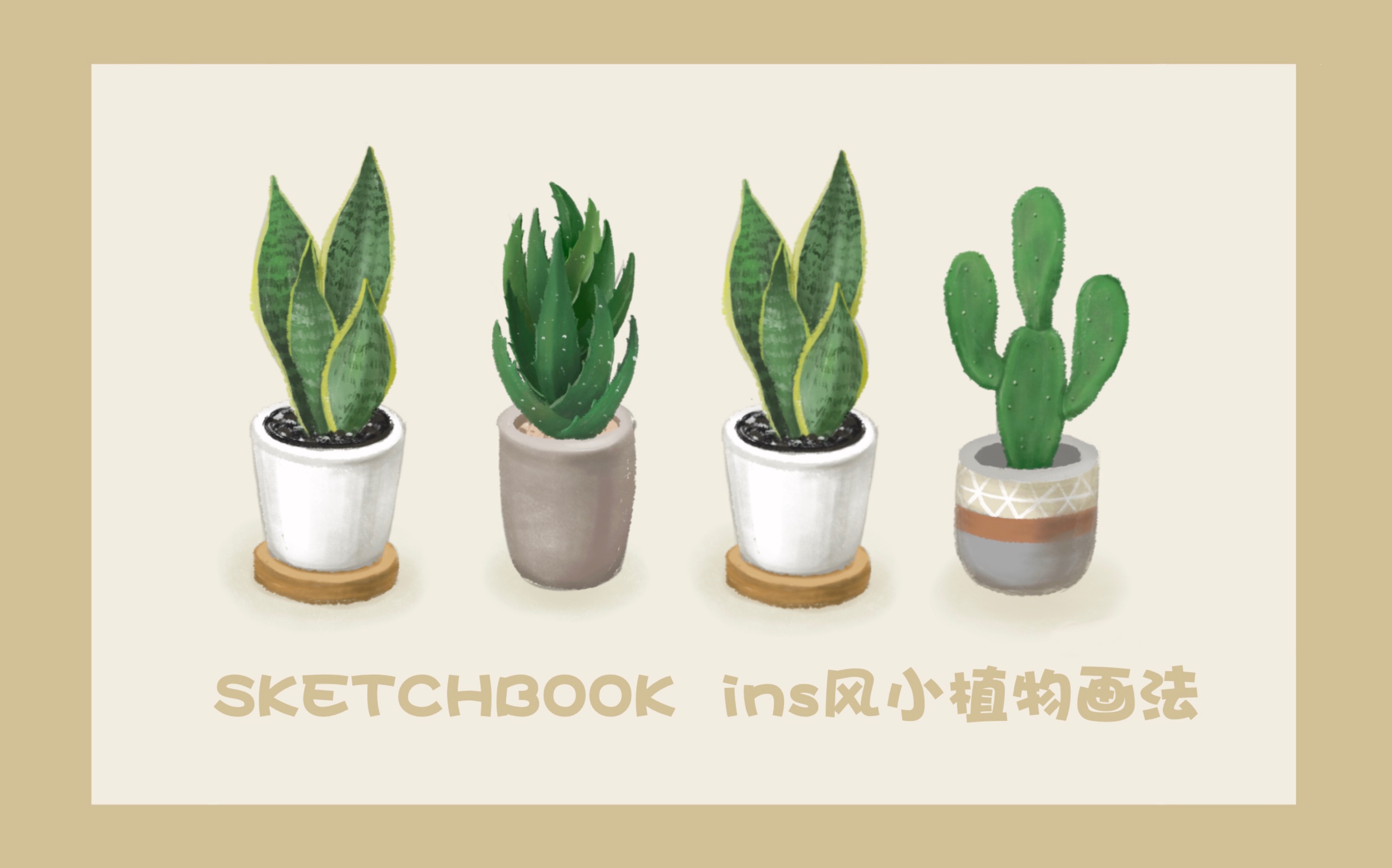 [图]【ipad绘画】sketchbook/ins风小植物画法/超详细讲解/新手友好