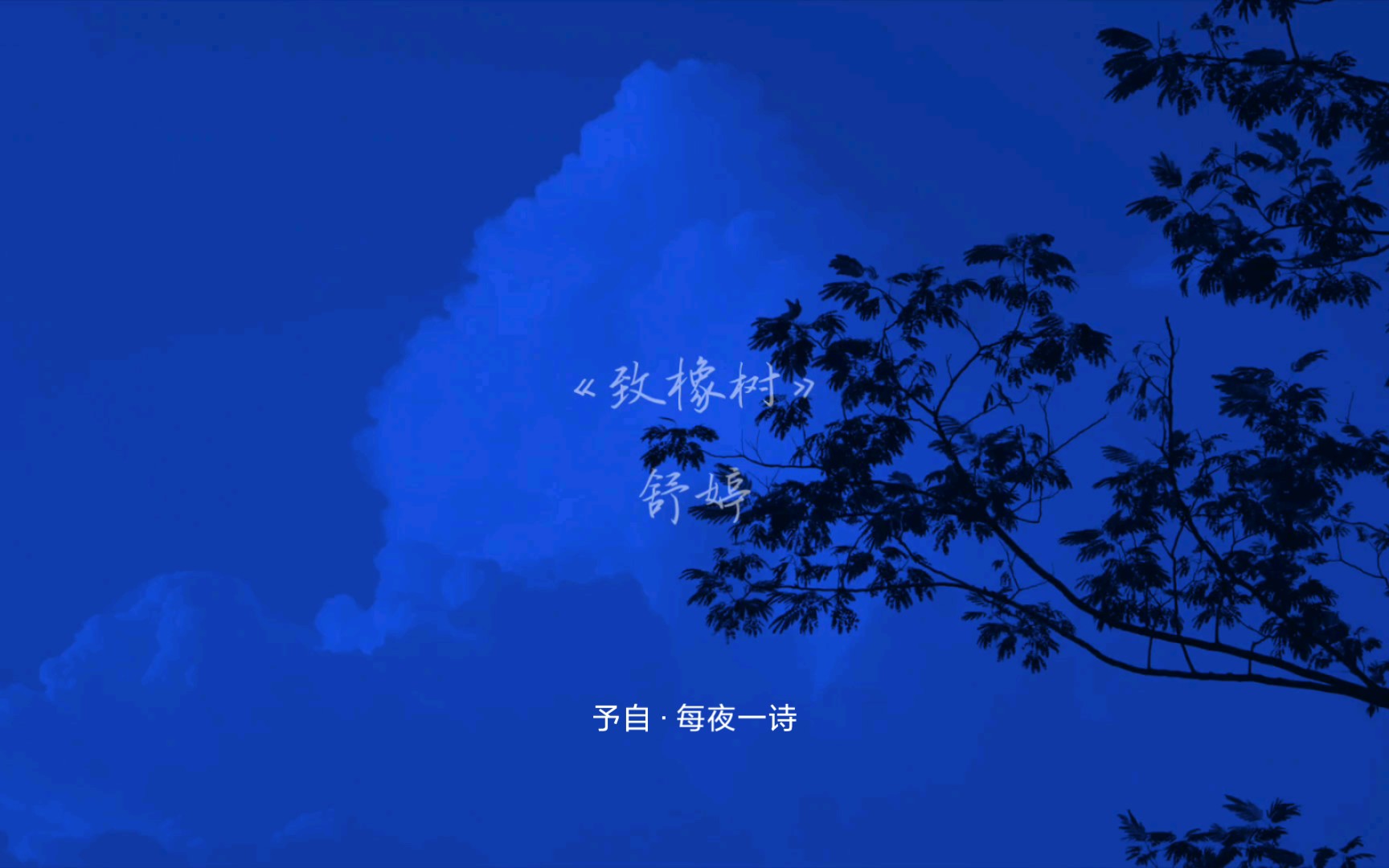 【每夜一诗】舒婷|仿佛永远分离,却又终身相依.哔哩哔哩bilibili