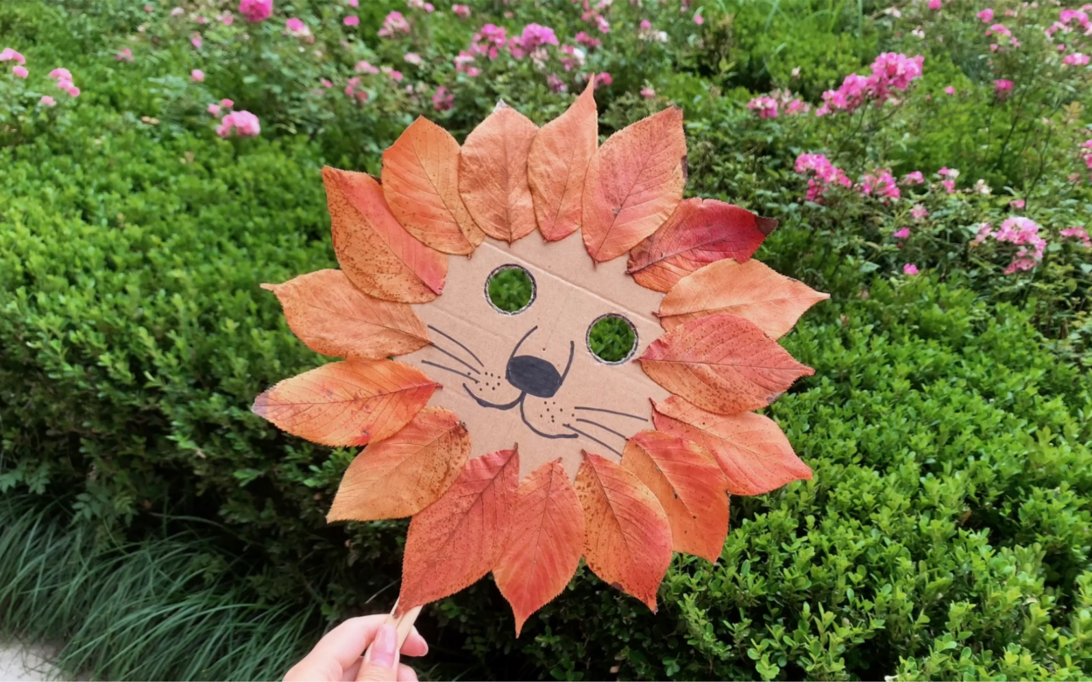 树叶 小狮子面具