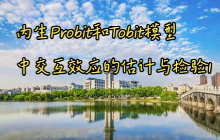 内生Probit和Tobit模型中交互效应的估计与检验1+周先波哔哩哔哩bilibili