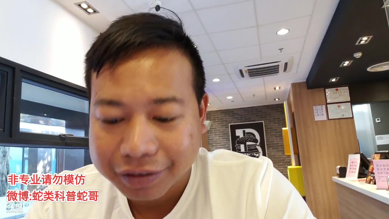 蛇类科普蛇哥直播录像2019112510时36分11时24分出发海南的路上