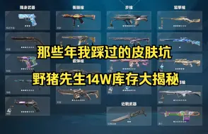 Download Video: 【只买对的】那些年我踩过的皮肤坑，14W库存我都买了些啥？盘点最值得和最后悔的枪  // 省流版在简介