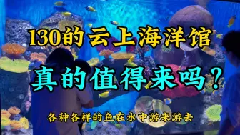 Download Video: 花130去一次云上海洋馆，看看值得嘛#海洋馆打卡 #海洋馆