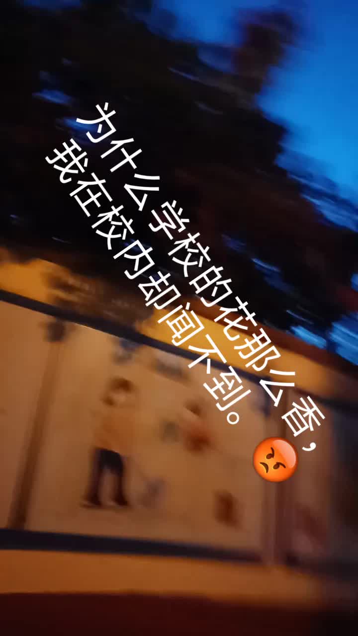 哦,我“亲爱”的学校哔哩哔哩bilibili