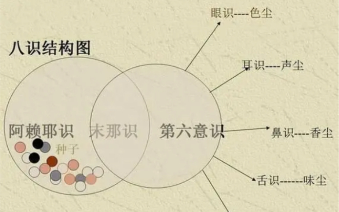 [图]多层次、多维度统合的唯识认知方法是解决人类重大科学问题和各种矛盾悖论的有效思维工具