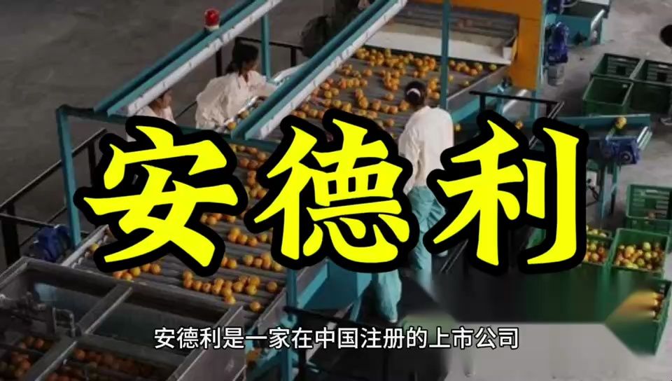 一天一家上市公司 | 安德利